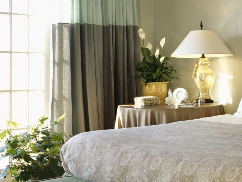http://sam-sebe-dizainer.com/public/images/Какие для спальни выбрать комнатные растения